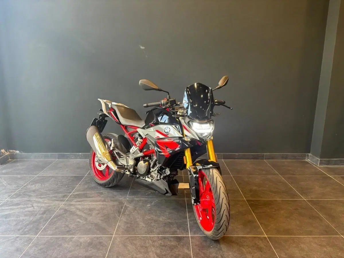 Bmw G 310 R (2021 - 25) (2)