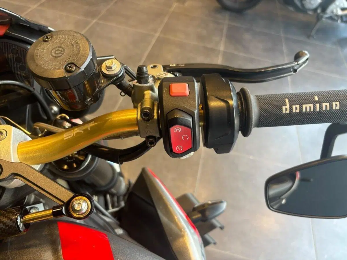 Triumph Street Triple RS (2020 - 22) (9)