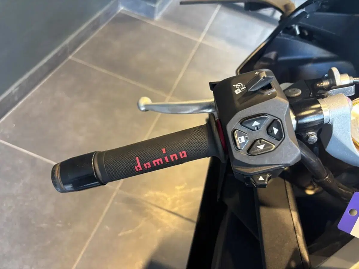 Aprilia RS 660 trofeo (2021 - 22) (8)