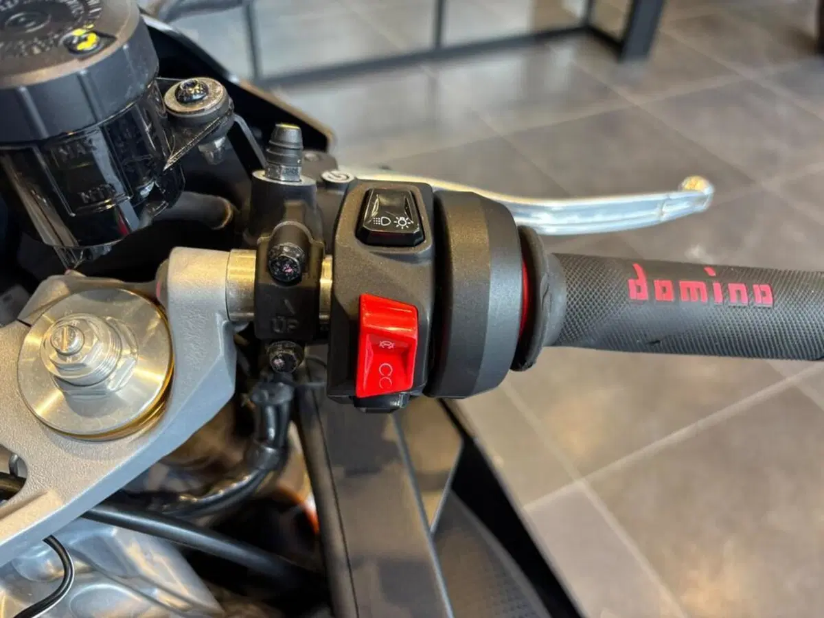 Aprilia RS 660 trofeo (2021 - 22) (6)
