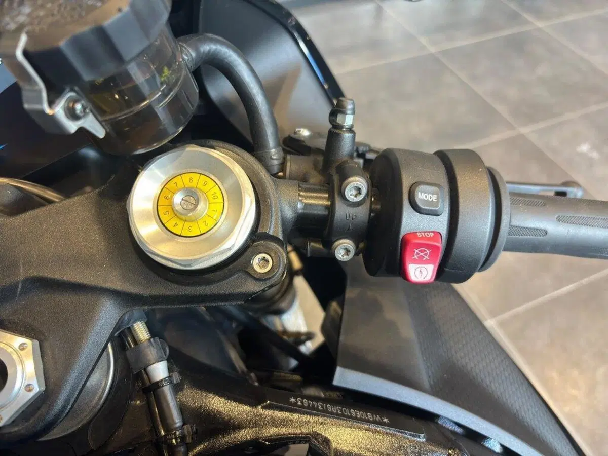 Bmw S 1000 RR (2023 - 24) (8)
