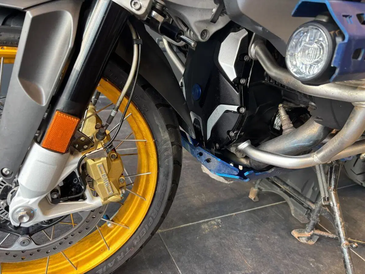Bmw R 1250 GS Adventure (2019 - 20) (13)