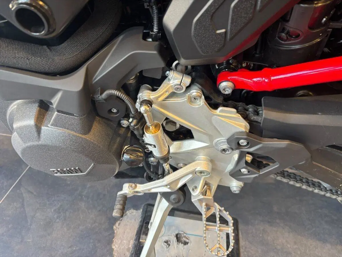 Bmw F 900 GS (2024 - 26) (11)