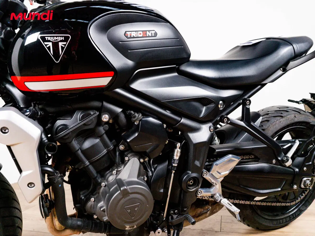 Triumph Trident 660 (2021 - 24) (9)