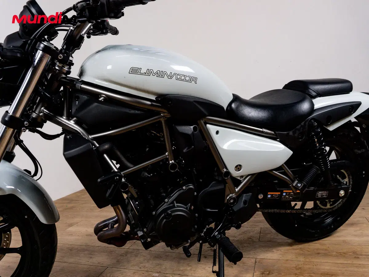 Kawasaki Eliminator 500 (2024 - 26) (9)