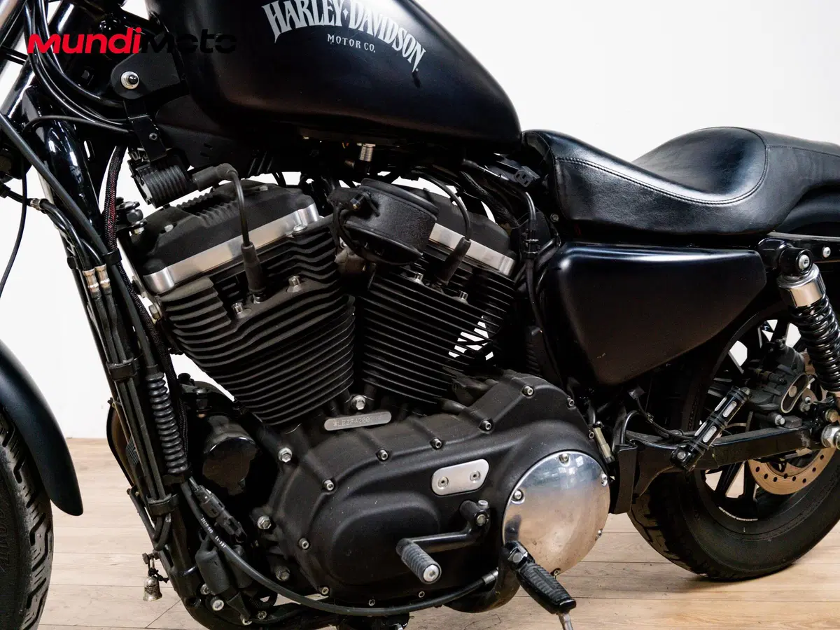 Harley-Davidson 883 Iron (2009 - 11) - XL 883N (9)