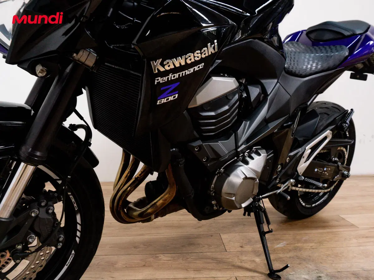 Kawasaki Z 800 (2012 - 13) (9)