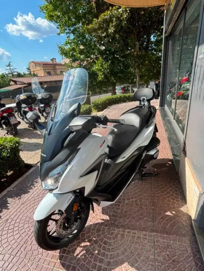 Honda Forza 350 (2022 - 24) usata