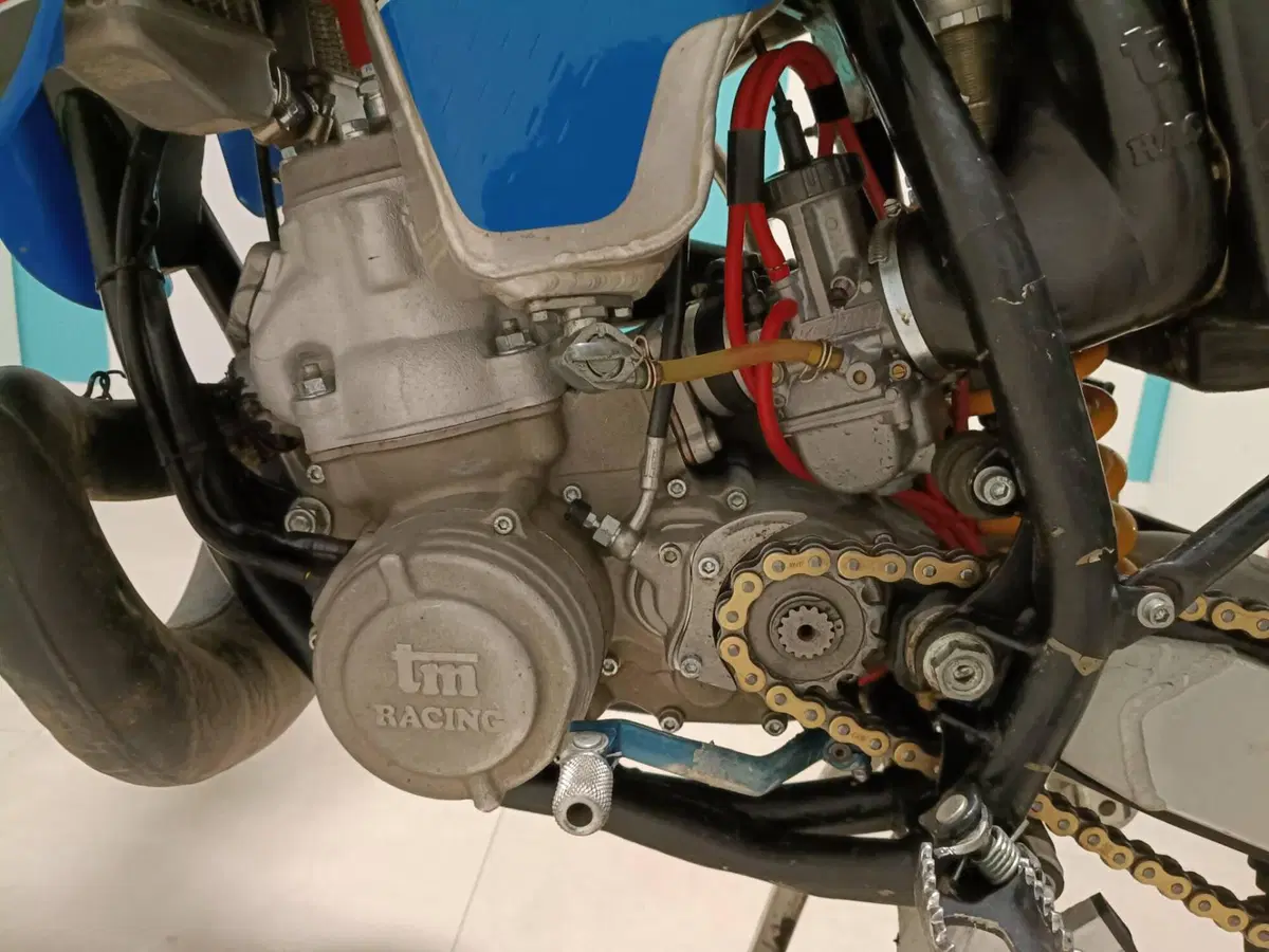 Tm Moto En 250 (3)