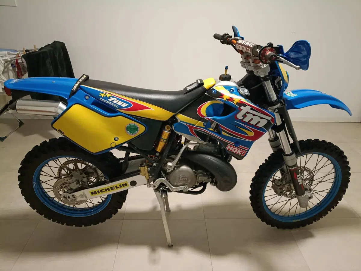 Tm Moto En 250 (5)