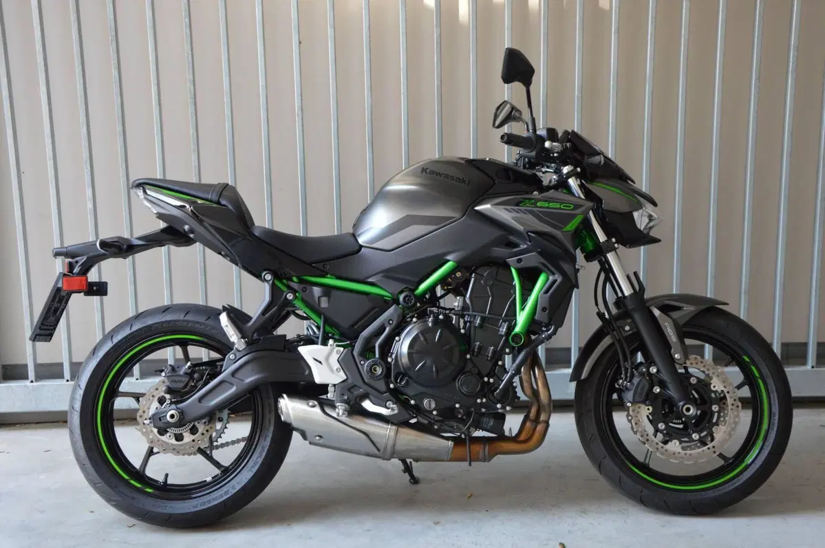 Kawasaki Z 650 (2021 - 24)