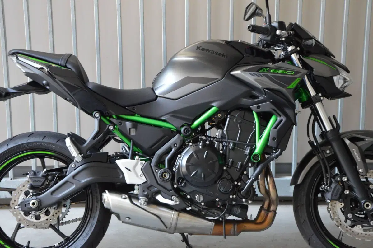 Kawasaki Z 650 (2021 - 24) (2)