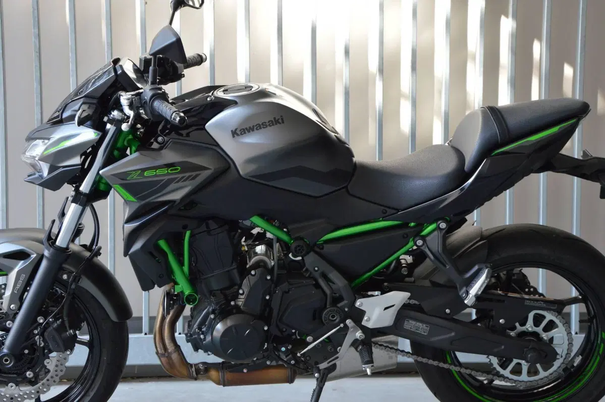 Kawasaki Z 650 (2021 - 24) (9)