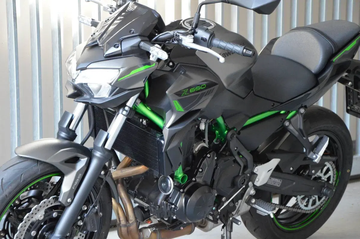 Kawasaki Z 650 (2021 - 24) (11)