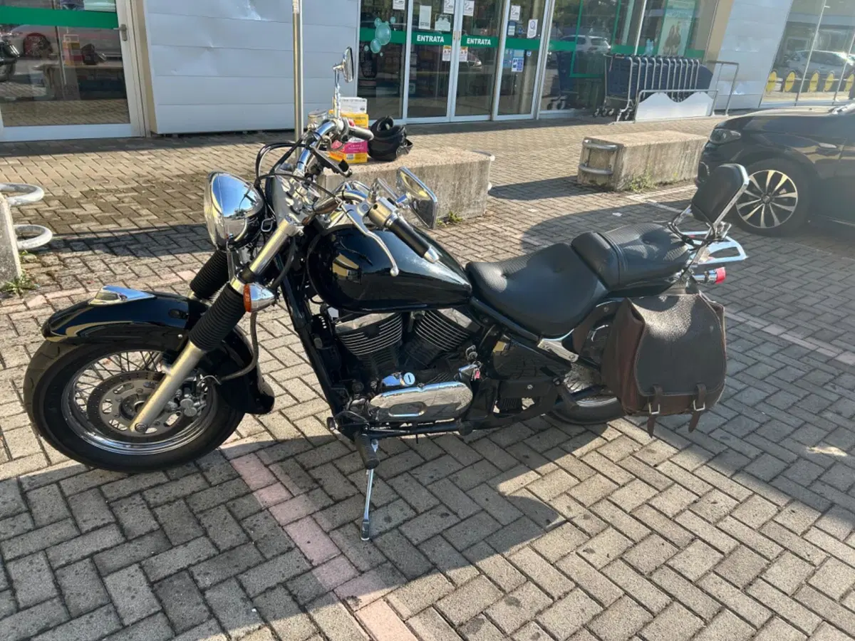 Kawasaki VN 800 Classic (1996 - 00) (2)