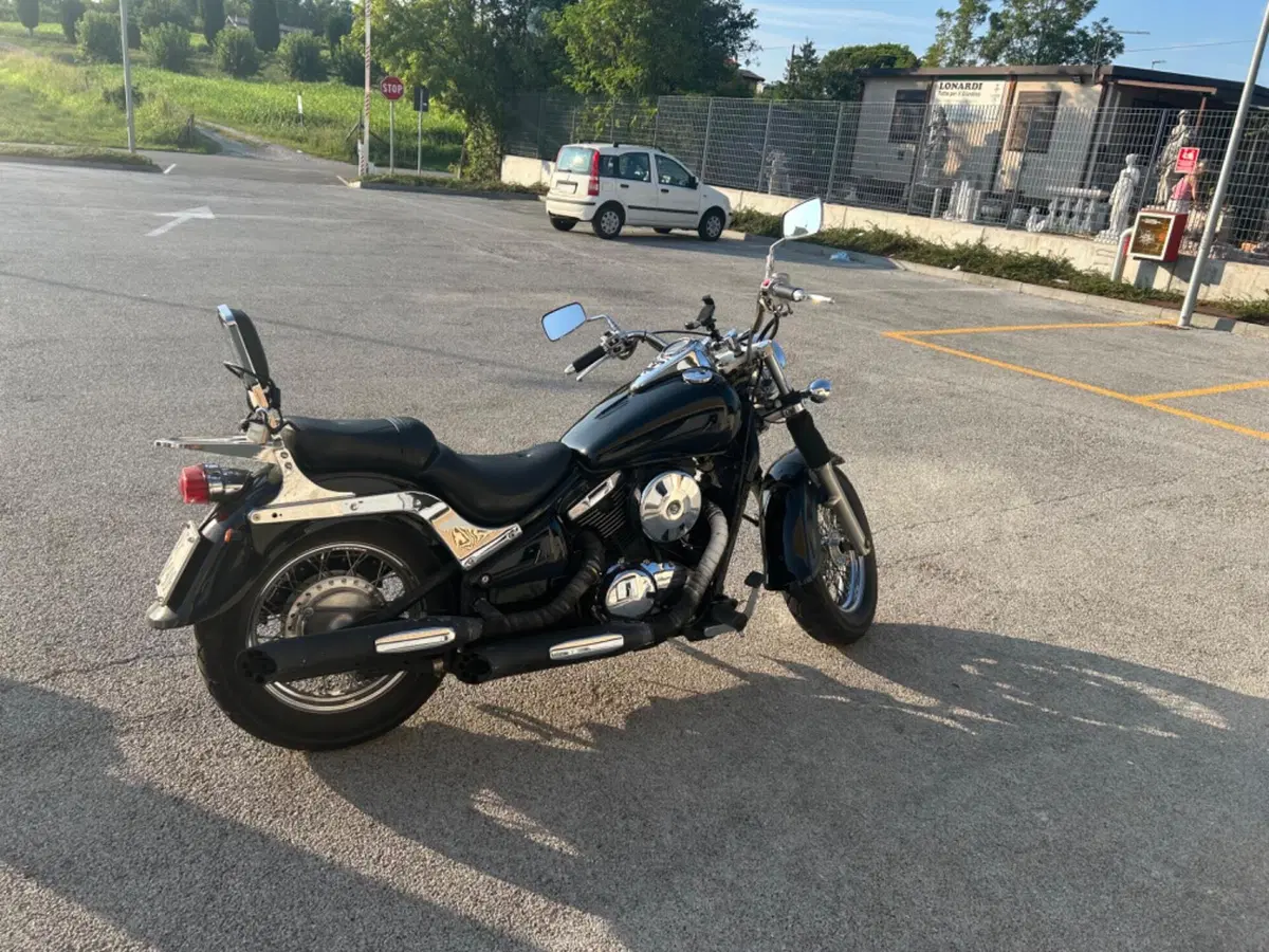Kawasaki VN 800 Classic (1996 - 00) (8)