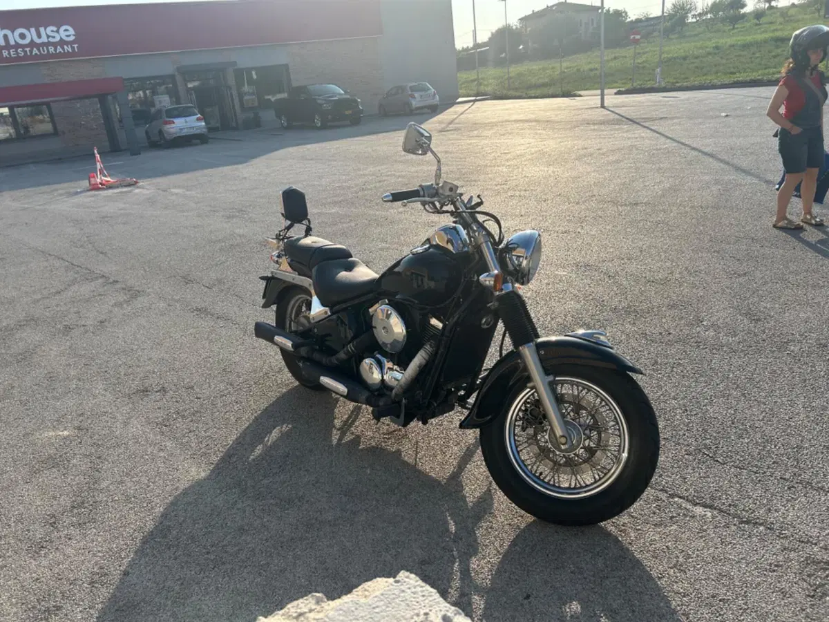 Kawasaki VN 800 Classic (1996 - 00) (9)