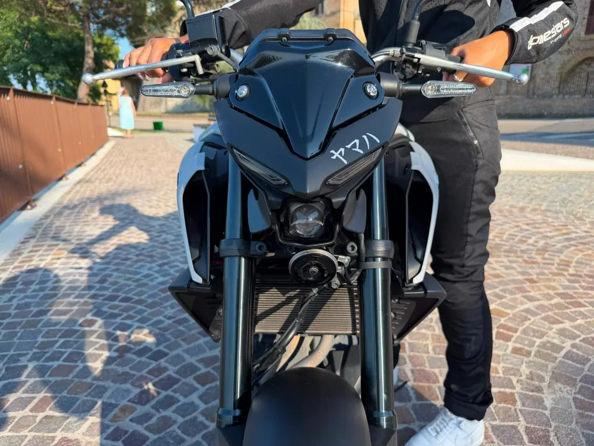 Yamaha MT-03 (2020) (3)