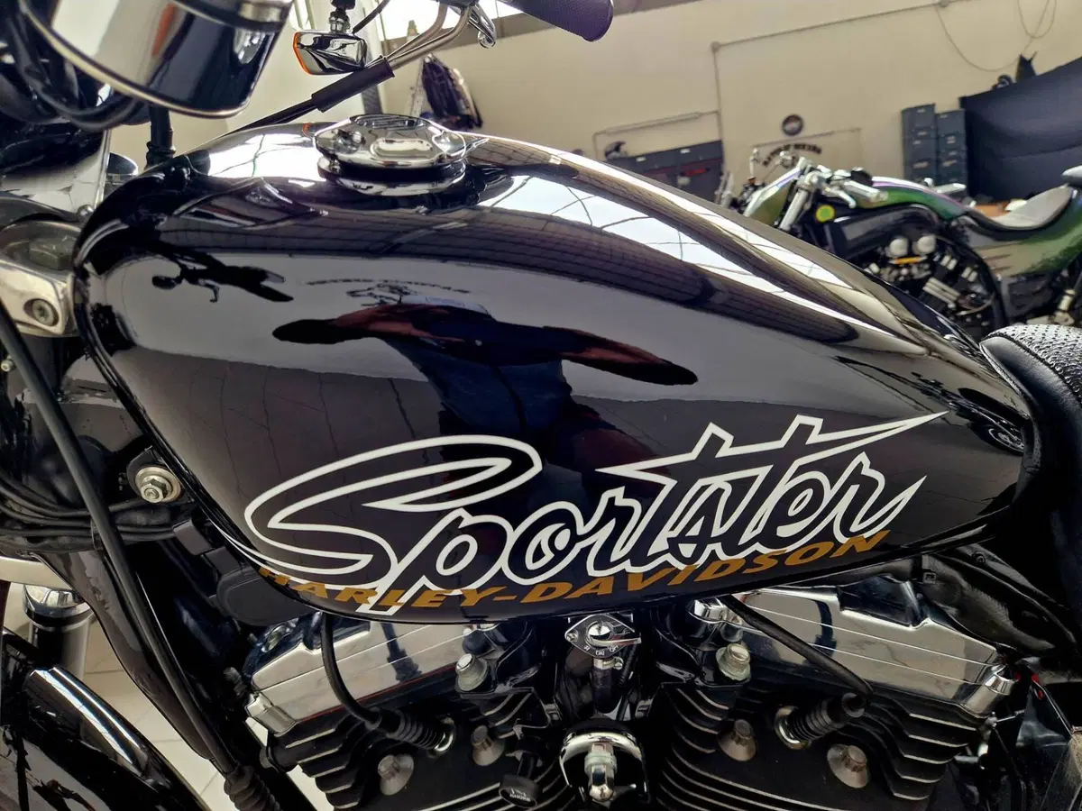 Harley-Davidson 1200 Custom (2001 - 03) - XL 1200C (8)