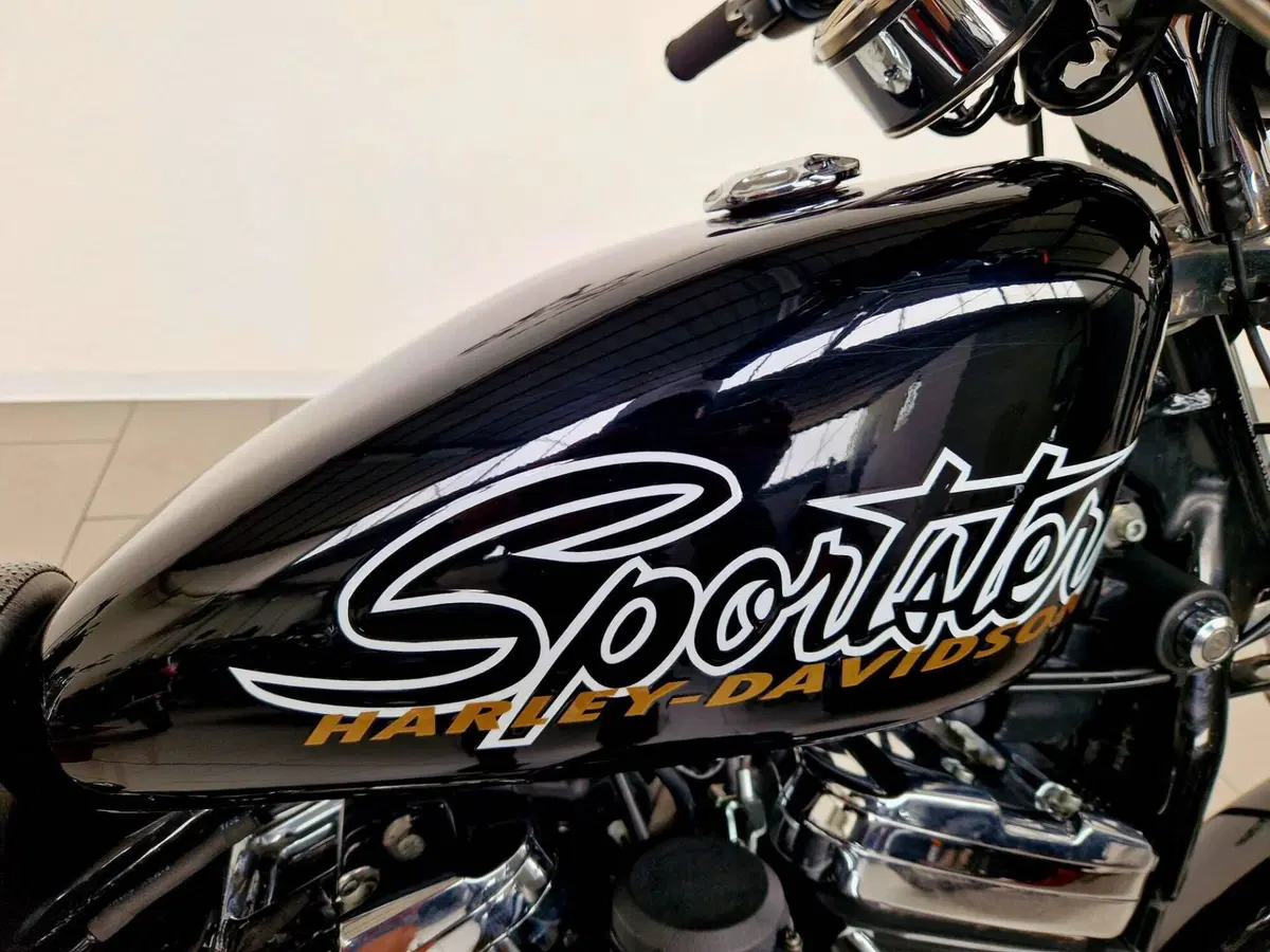 Harley-Davidson 1200 Custom (2001 - 03) - XL 1200C (12)