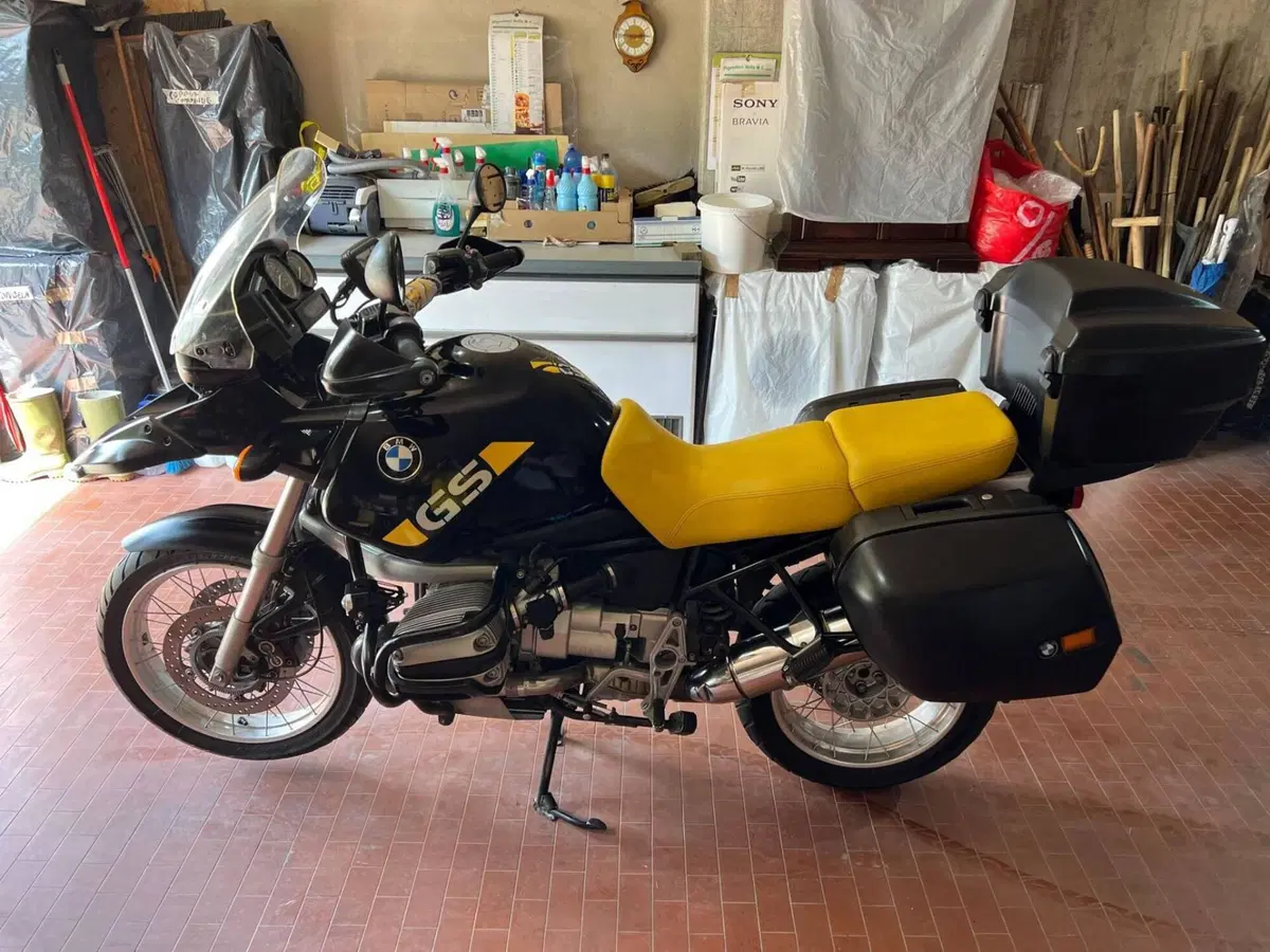 Bmw R 1150 GS (1999 - 03) (12)