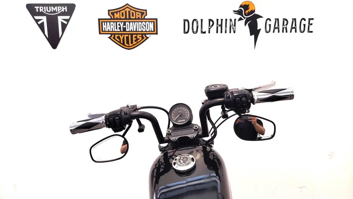 Harley-Davidson 883 R (2008 - 16) - XL 883R (13)