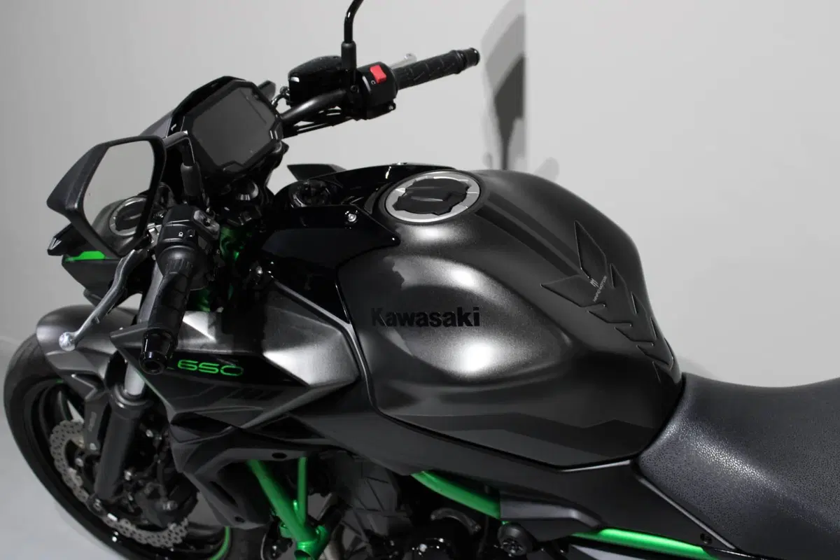 Kawasaki Z 650 (2021 - 24) (6)