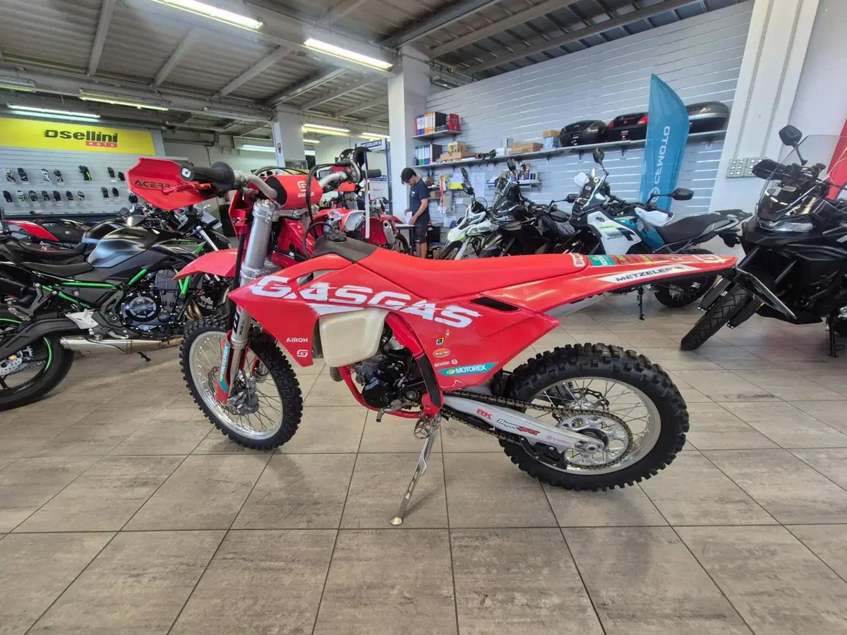 GASGAS EC 250 F (2024) (2)
