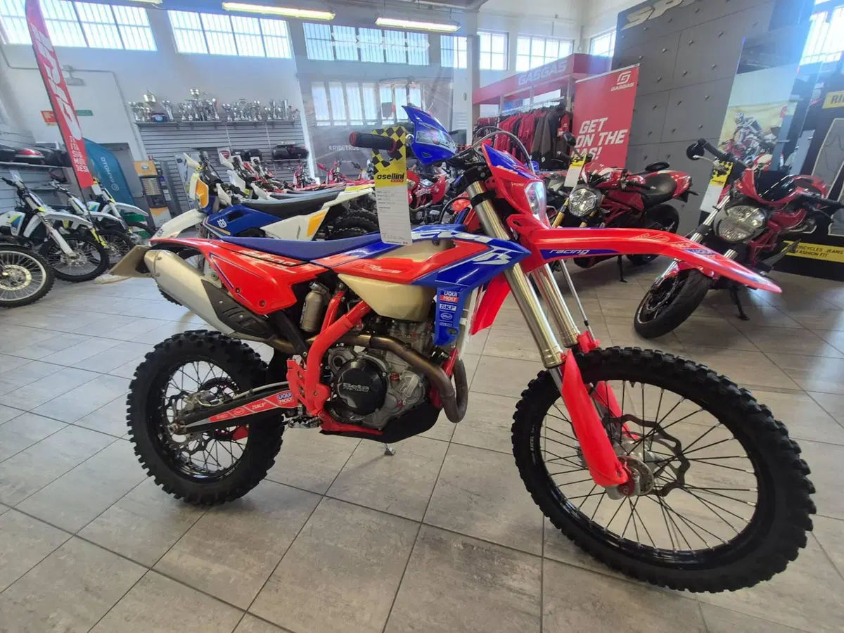 Betamotor RR 350 4T Enduro Racing (2023) (4)