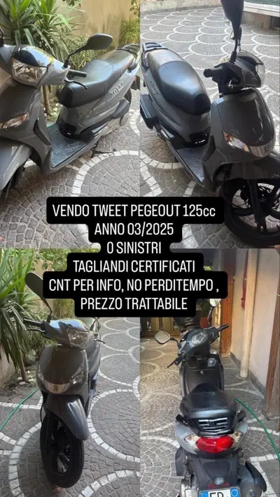 Peugeot Tweet 125i Active (2021 - 25) usata
