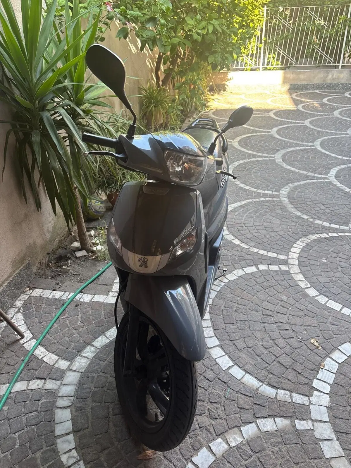 Peugeot Tweet 125i Active (2021 - 25) (5)