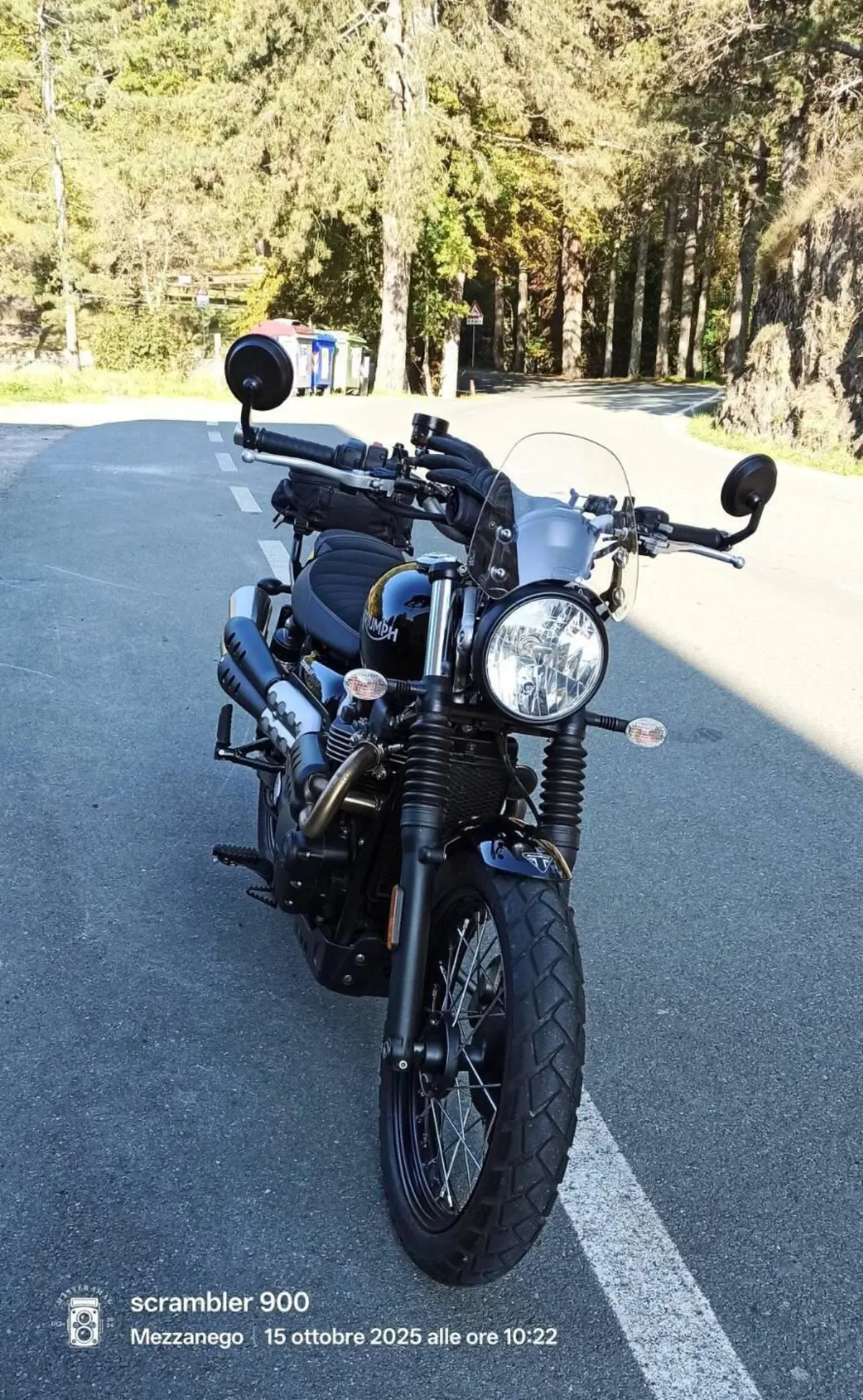 Triumph Scrambler 900 (2023 - 25) (3)