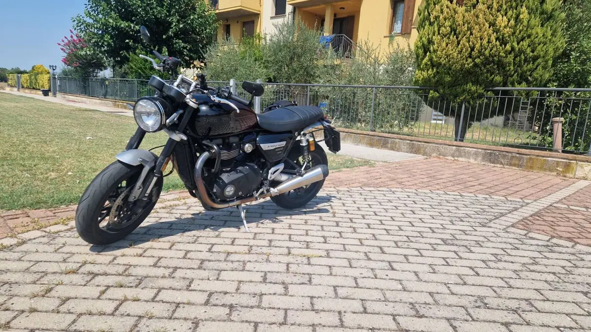 Triumph Speed Twin 1200 Stealth Edition (2024) (8)
