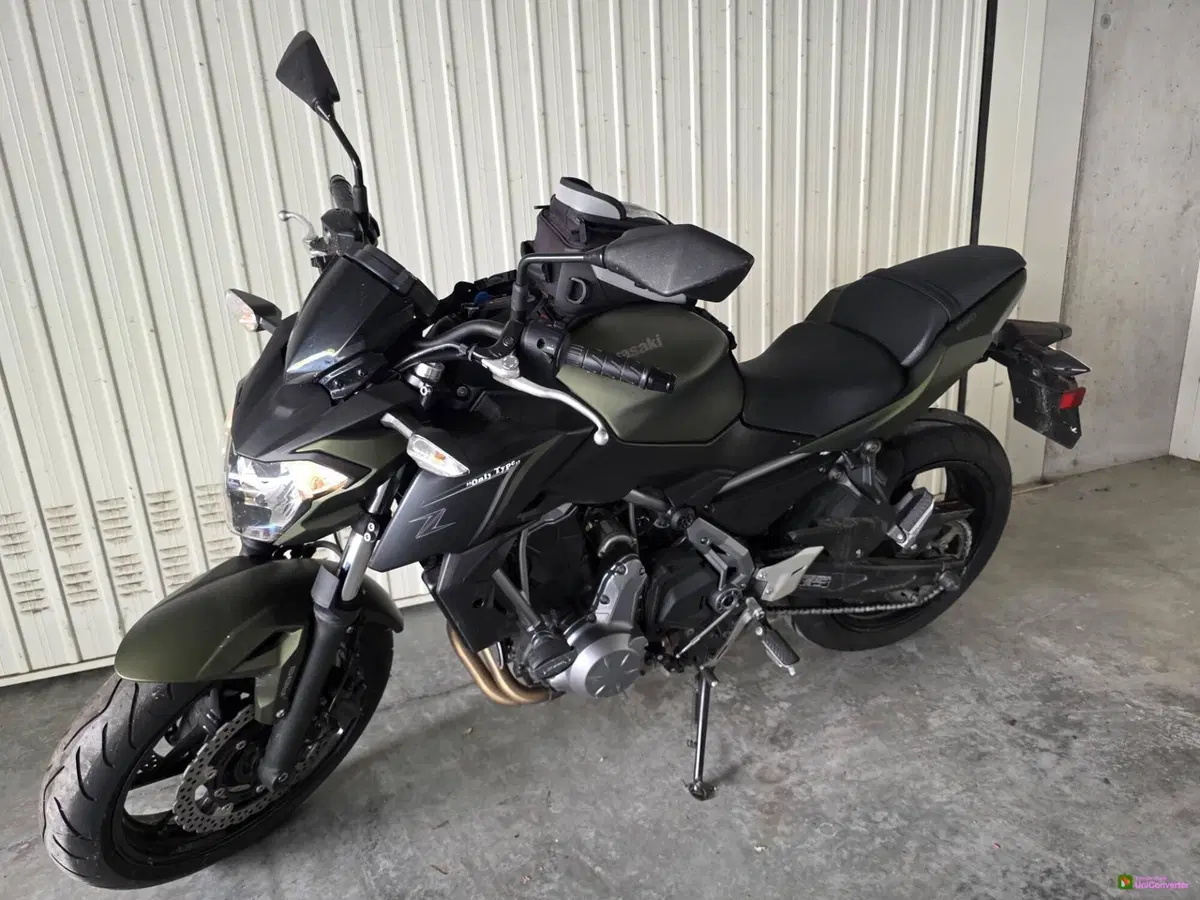 Kawasaki Z 650 (2017 - 19) (2)