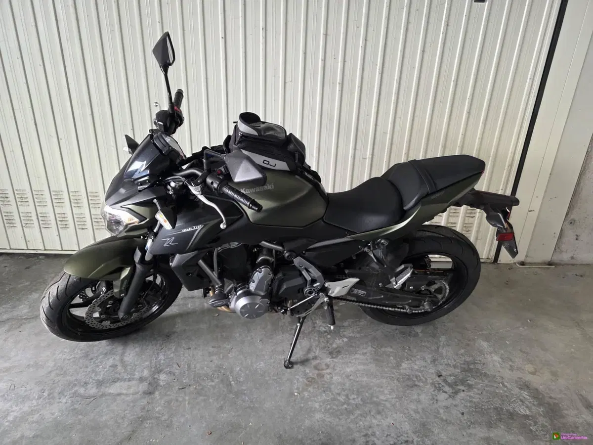 Kawasaki Z 650 (2017 - 19) (3)