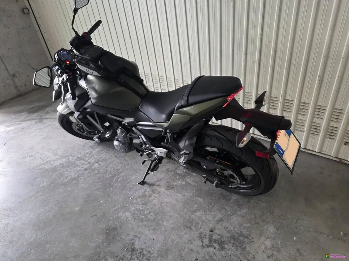 Kawasaki Z 650 (2017 - 19) (4)