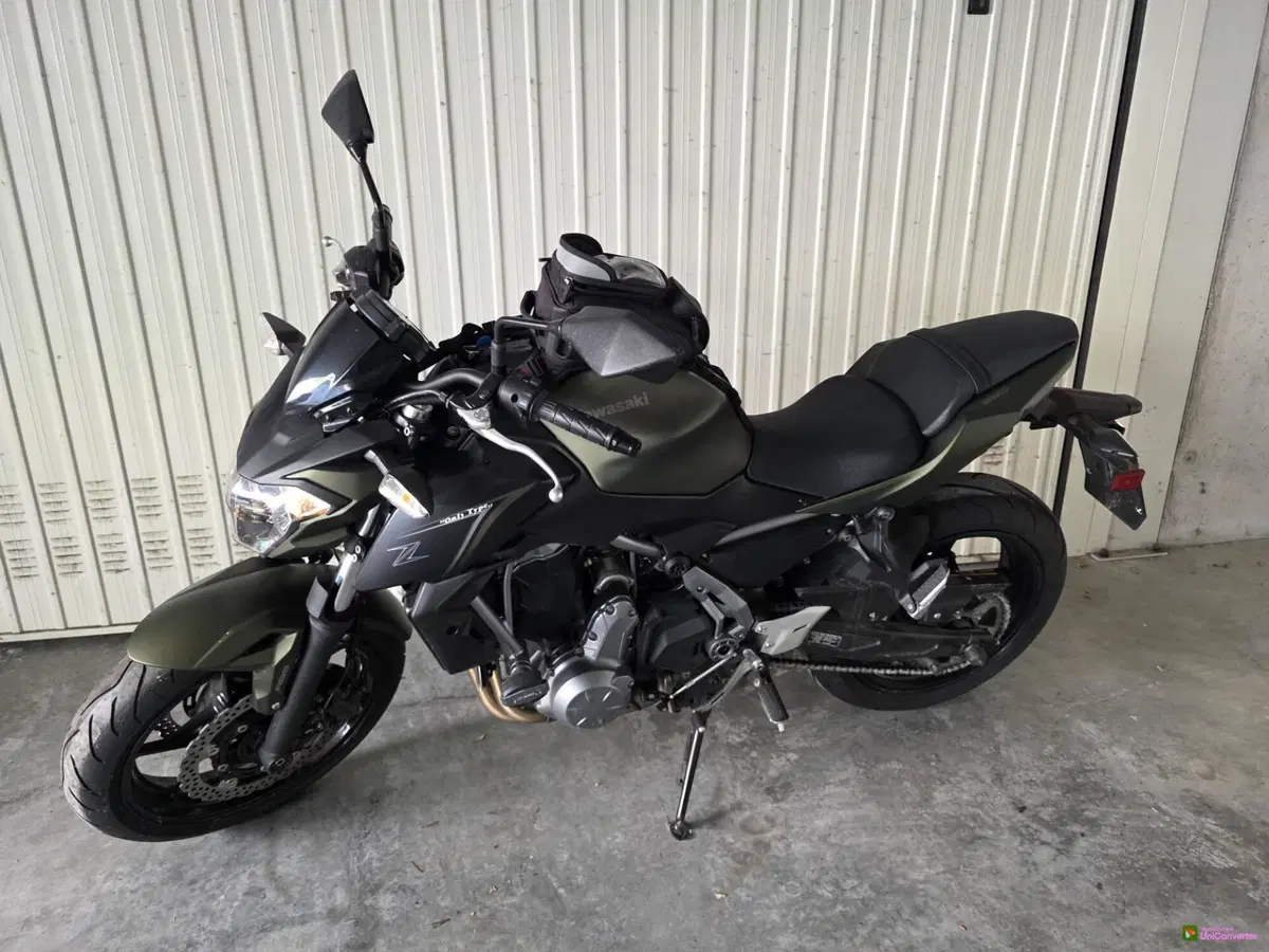 Kawasaki Z 650 (2017 - 19) (7)
