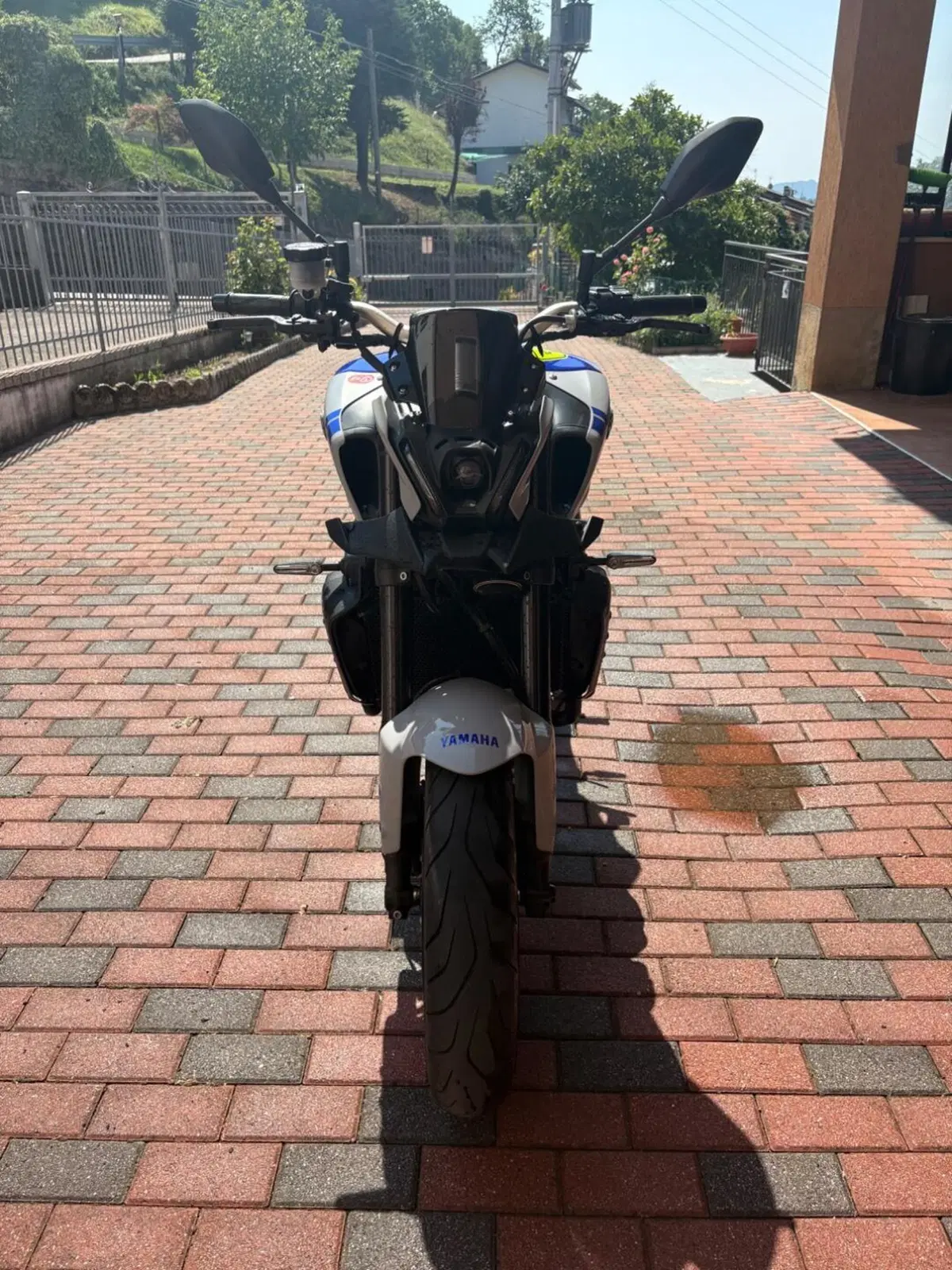Yamaha MT-09 (2021 - 23) (3)