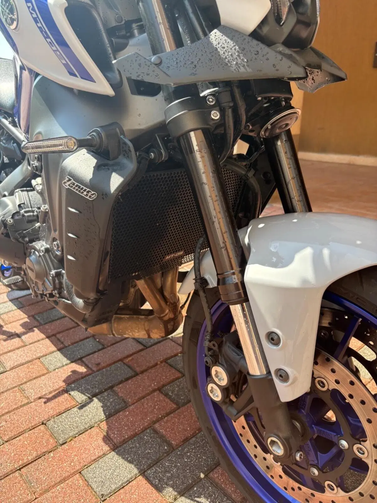 Yamaha MT-09 (2021 - 23) (4)
