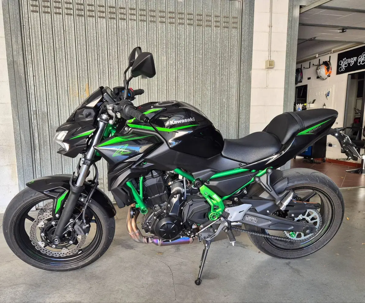 Kawasaki Z 650 (2025 - 26)