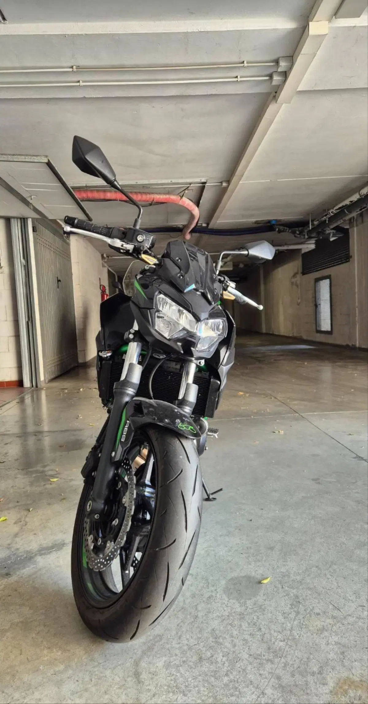 Kawasaki Z 650 (2025 - 26) (2)