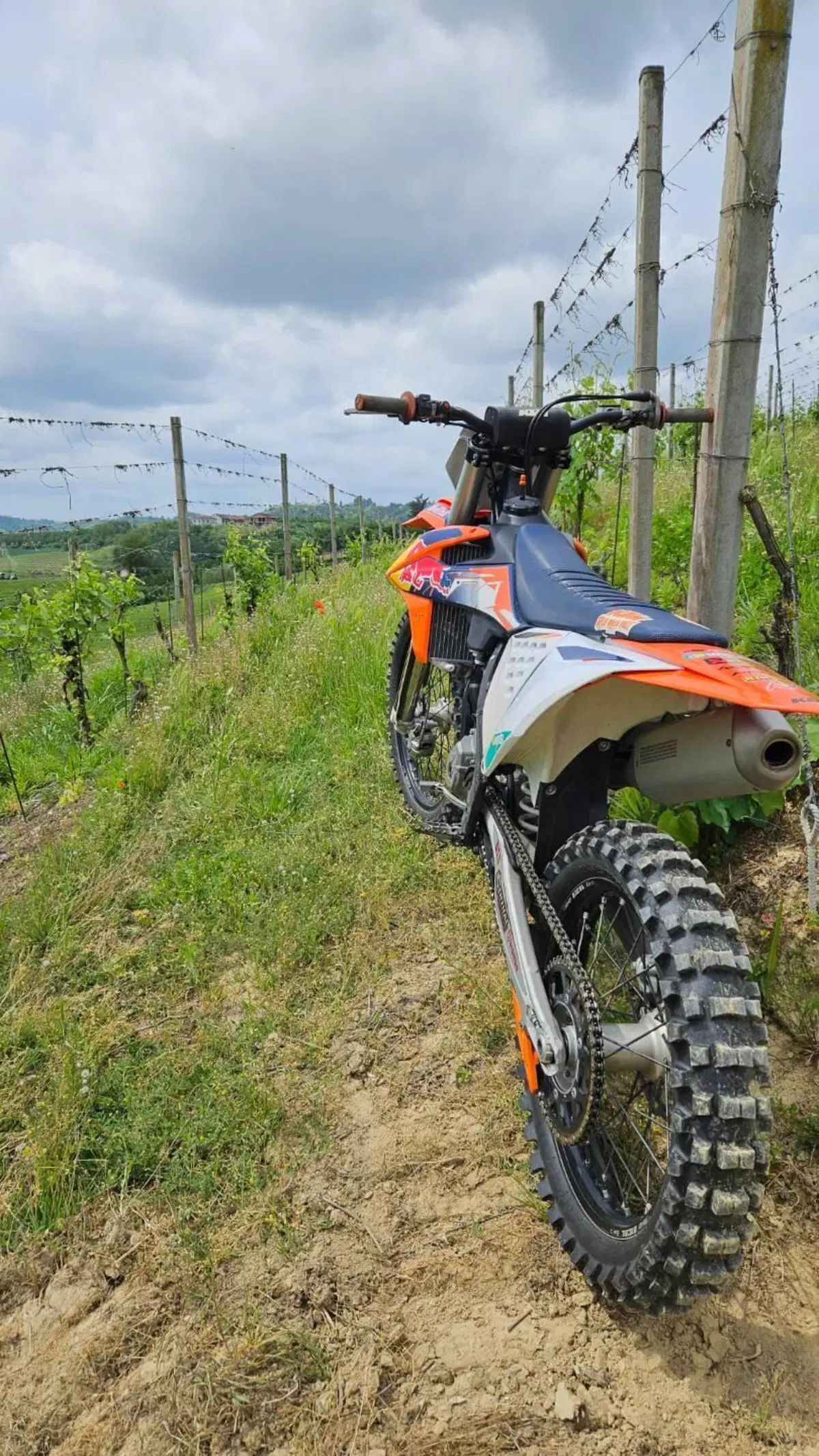 KTM 250 SX-F (2020) (3)