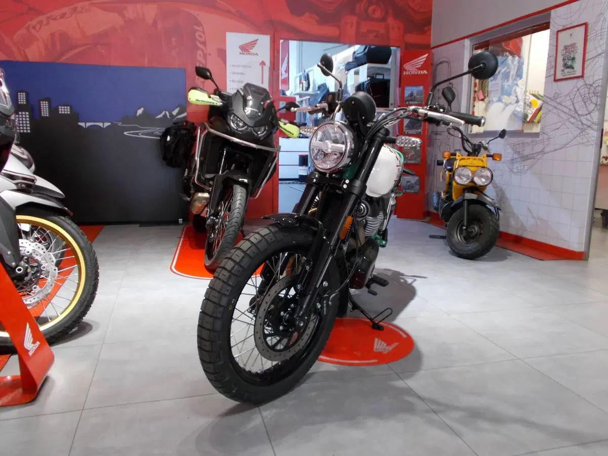 Royal Enfield Bear 650 (2025 - 26) (7)