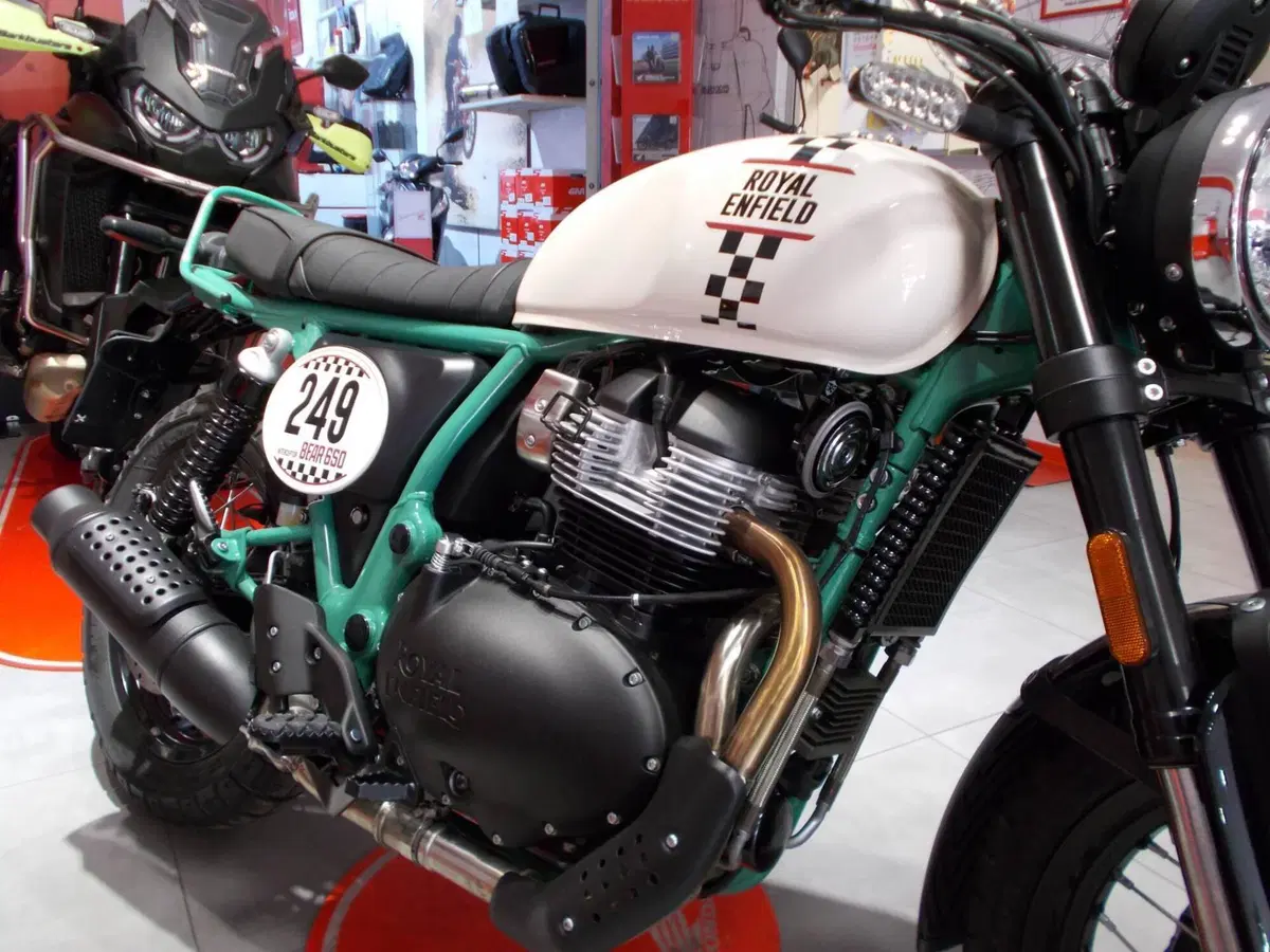 Royal Enfield Bear 650 (2025 - 26) (10)
