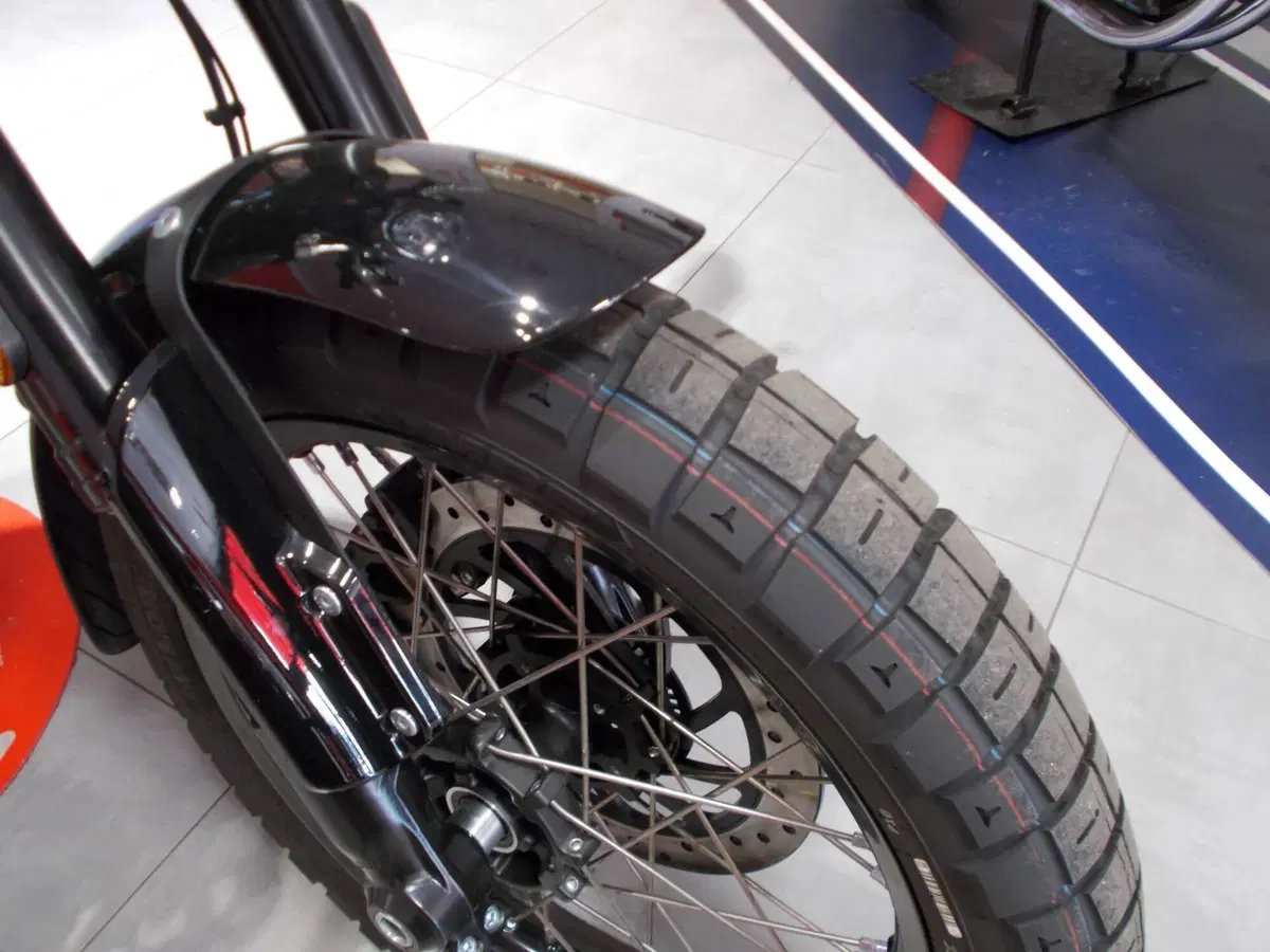 Royal Enfield Bear 650 (2025 - 26) (12)