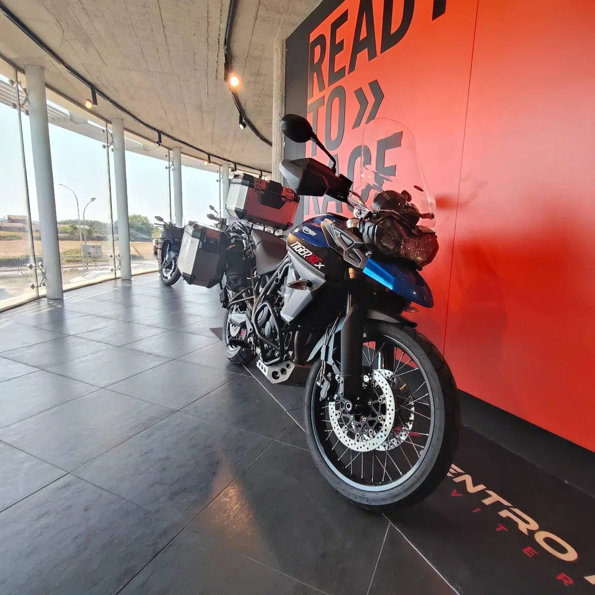Triumph Tiger 800 XCx (2017 - 18) (6)
