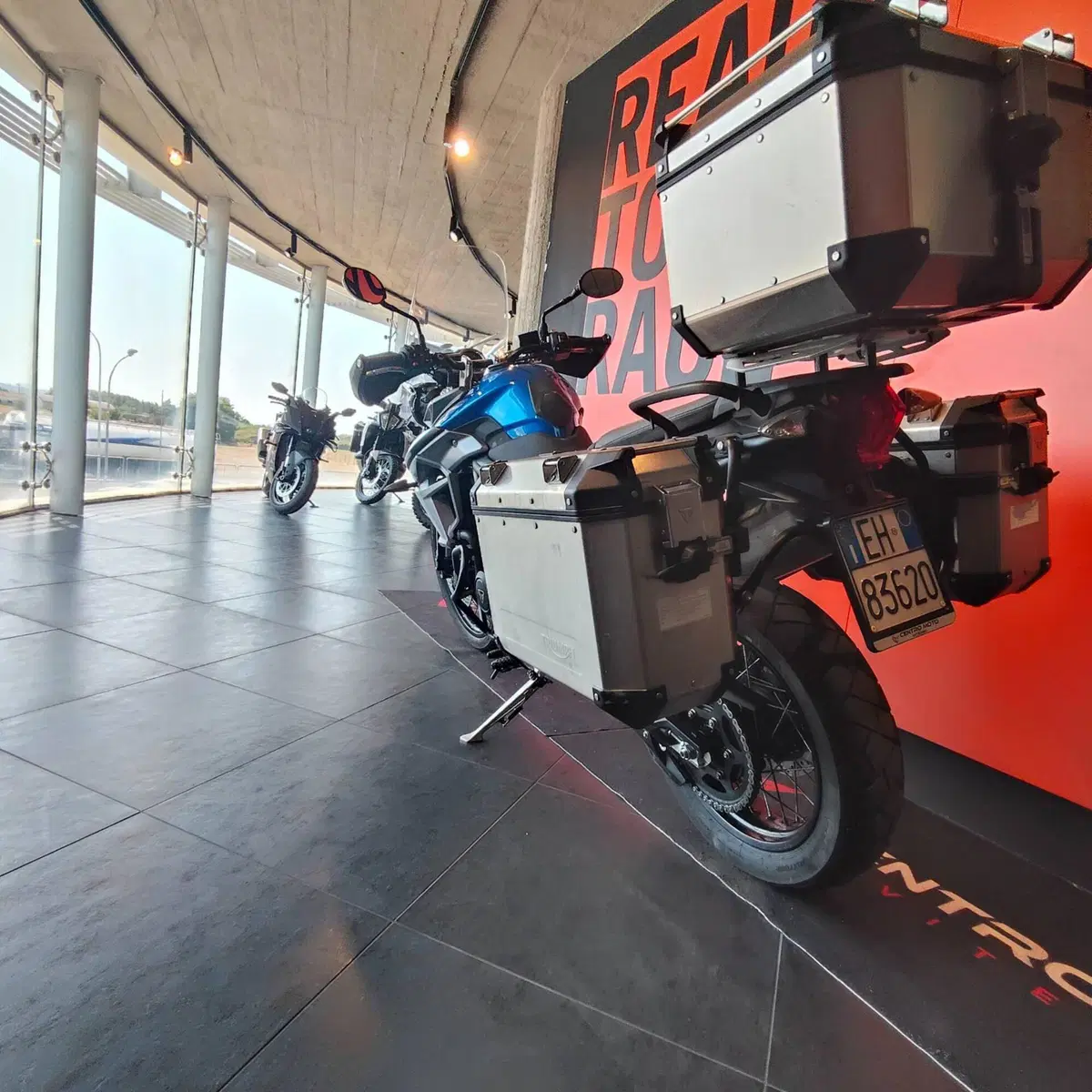 Triumph Tiger 800 XCx (2017 - 18) (10)