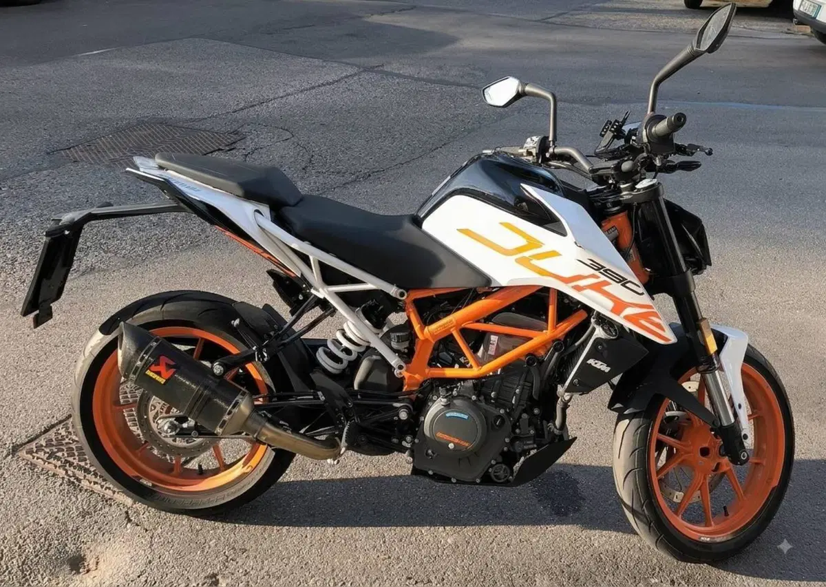 KTM 390 Duke ABS (2017 - 20) (2)