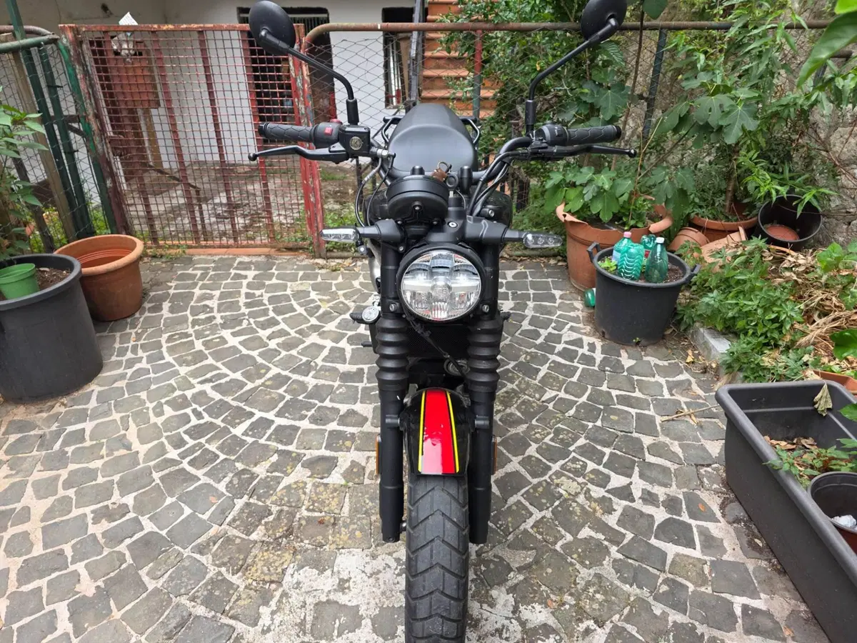 Royal Enfield Guerrilla 450 (2024 - 26)