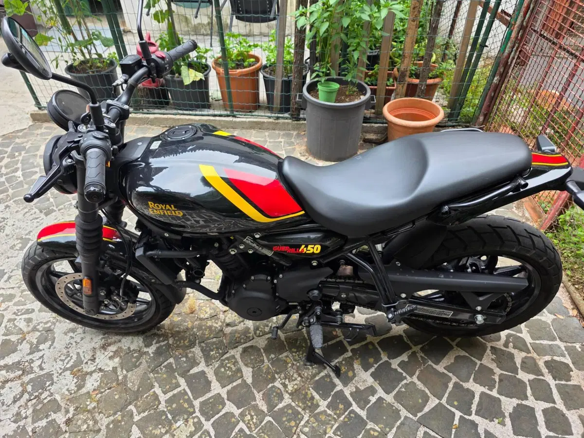 Royal Enfield Guerrilla 450 (2024 - 26) (2)